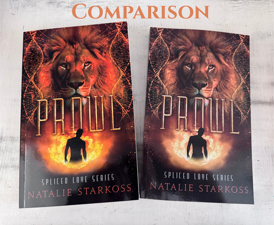 Prowl - FLAWED COPY