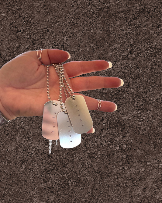 Alternative dog tags for lion plush